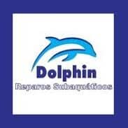 Dolphin Reparos Subaquáticos