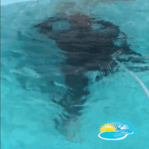 Caça vazamento em São Paulo